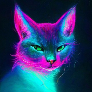 Неоновые коты