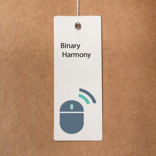 Binary Harmony: Стиль и Кодирование