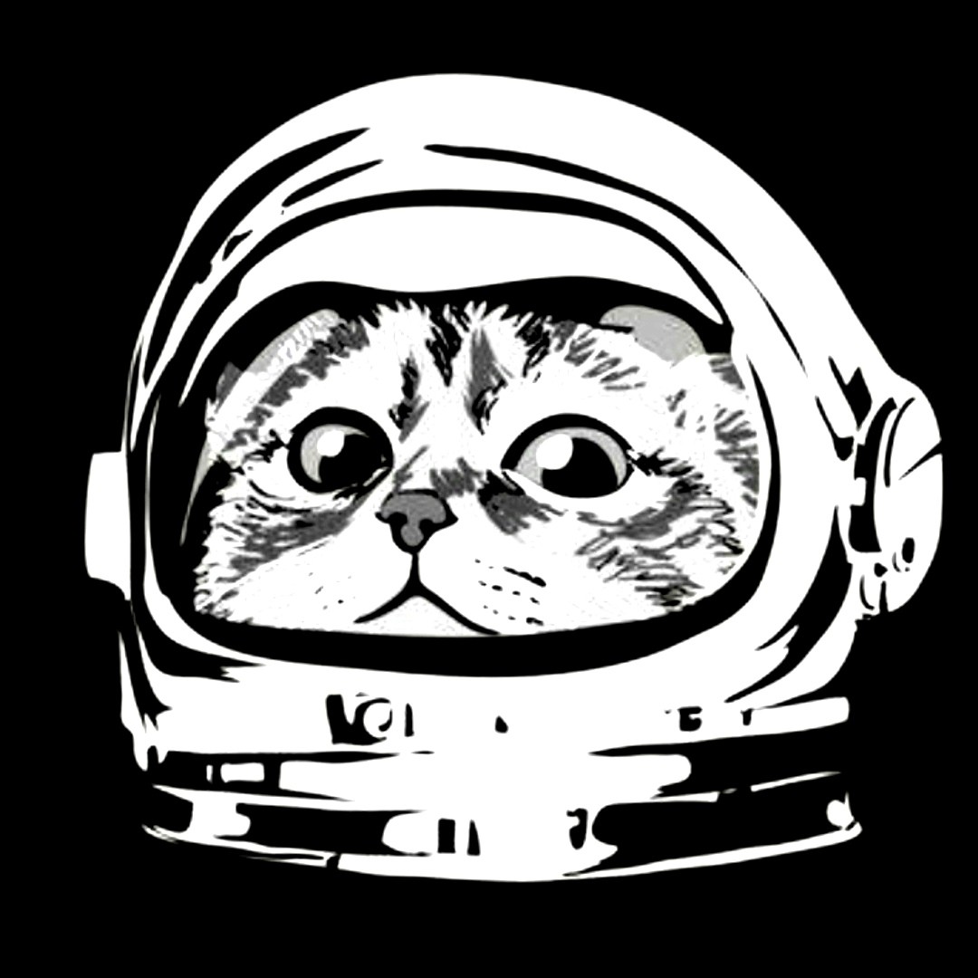 Cosmocat_Story