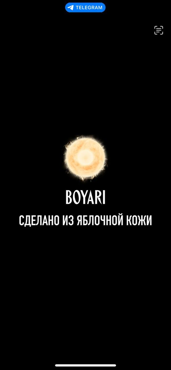 BOYARI